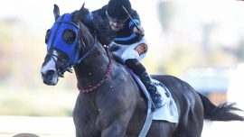 Cumhurbaşkanlığı Koşusu’nu “Final Dance” kazandı