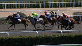 Engel atlama at yarışlarında Atatürk, İnönü ve TSYD kupaları sahiplerini buldu